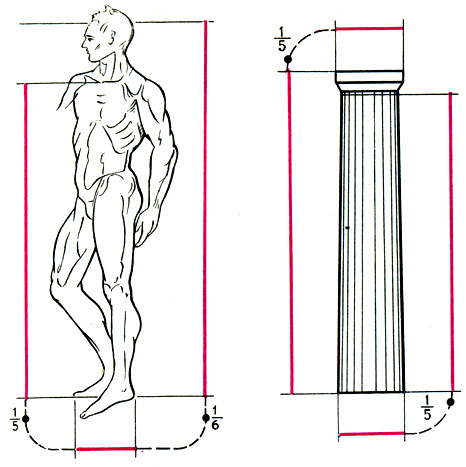 Отношение длины стопы человека к длине его тела от основания шеи до стопы 1:5 - ключ к пропорциональному строю Парфенона (по Шевелеву)