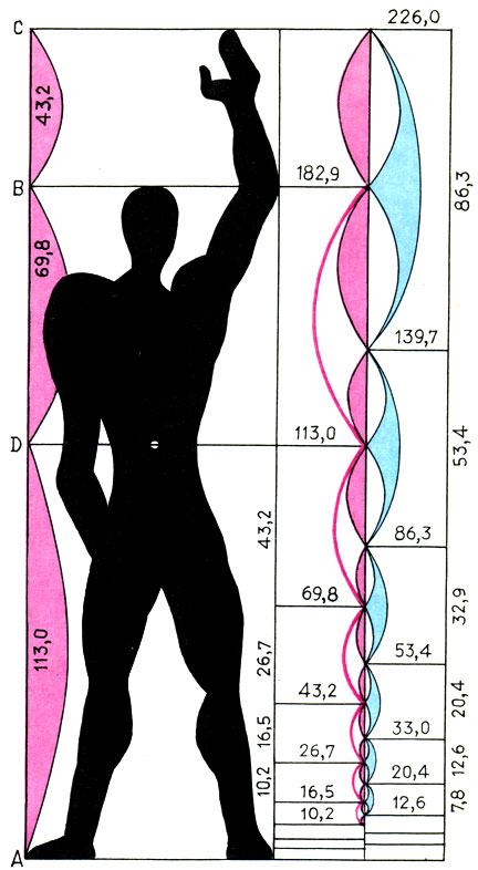 Модулор Ле Корбюзье. Рисунок Ле Корбюзье. 'Модулор - это измерительный прибор, в основе которого лежат человеческий рост и математика' (Ле Корбюзье)
