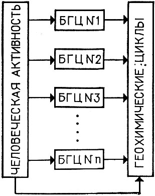 Рис. 10. Структура банка моделей (БГЦ - биогеоценоз)